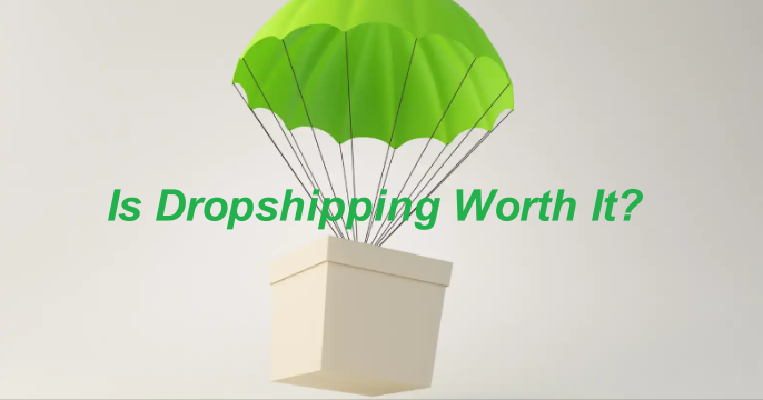 dropshipping worth