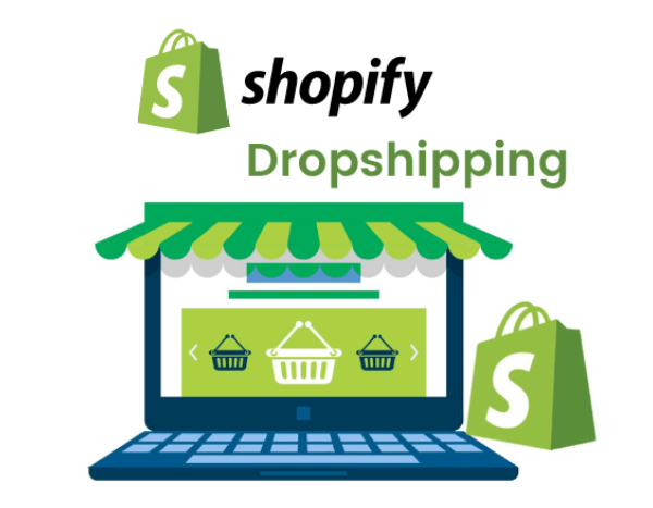 shopify dropshipping store